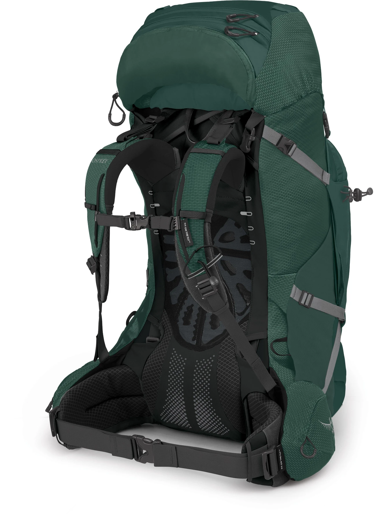 Рюкзаки Osprey Aether Plus 70 модель 100020837 Рюкзаки Osprey Aether Plus 70 модель 100020837 Фото
