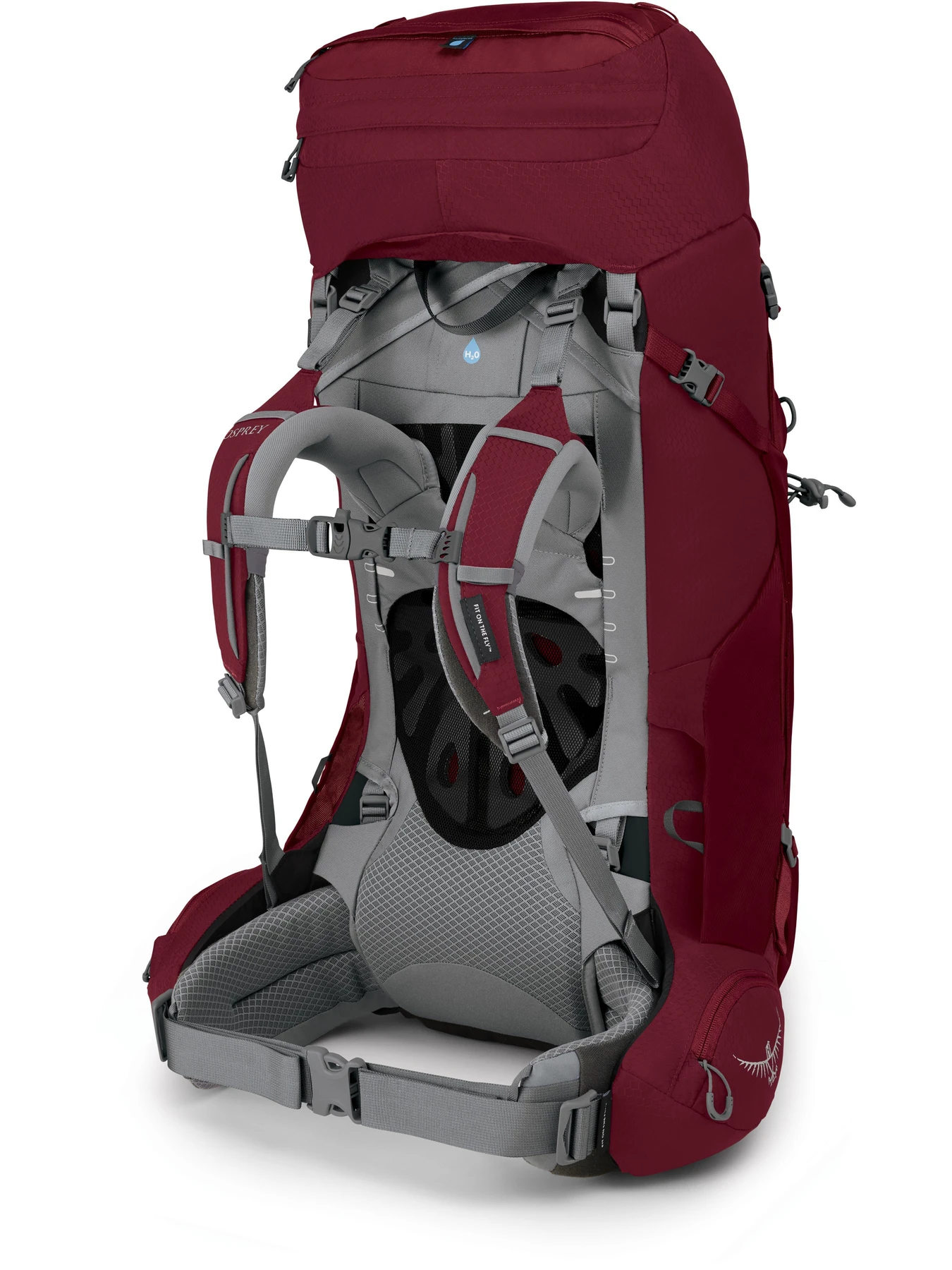 Рюкзаки Osprey Ariel 55 модель 100045933 Рюкзаки Osprey Ariel 55 модель 100045933 Фото