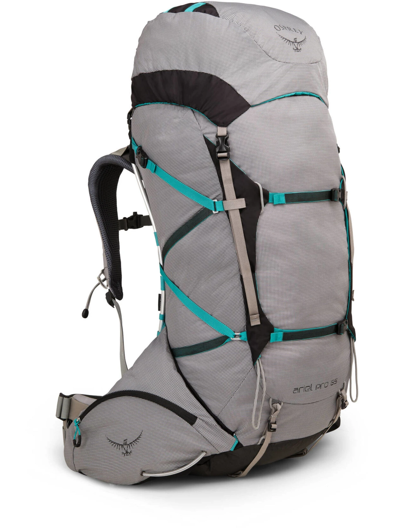 Рюкзаки Osprey Ariel Pro 65 модель 100012792 Рюкзаки Osprey Ariel Pro 65 модель 100012792 Фото