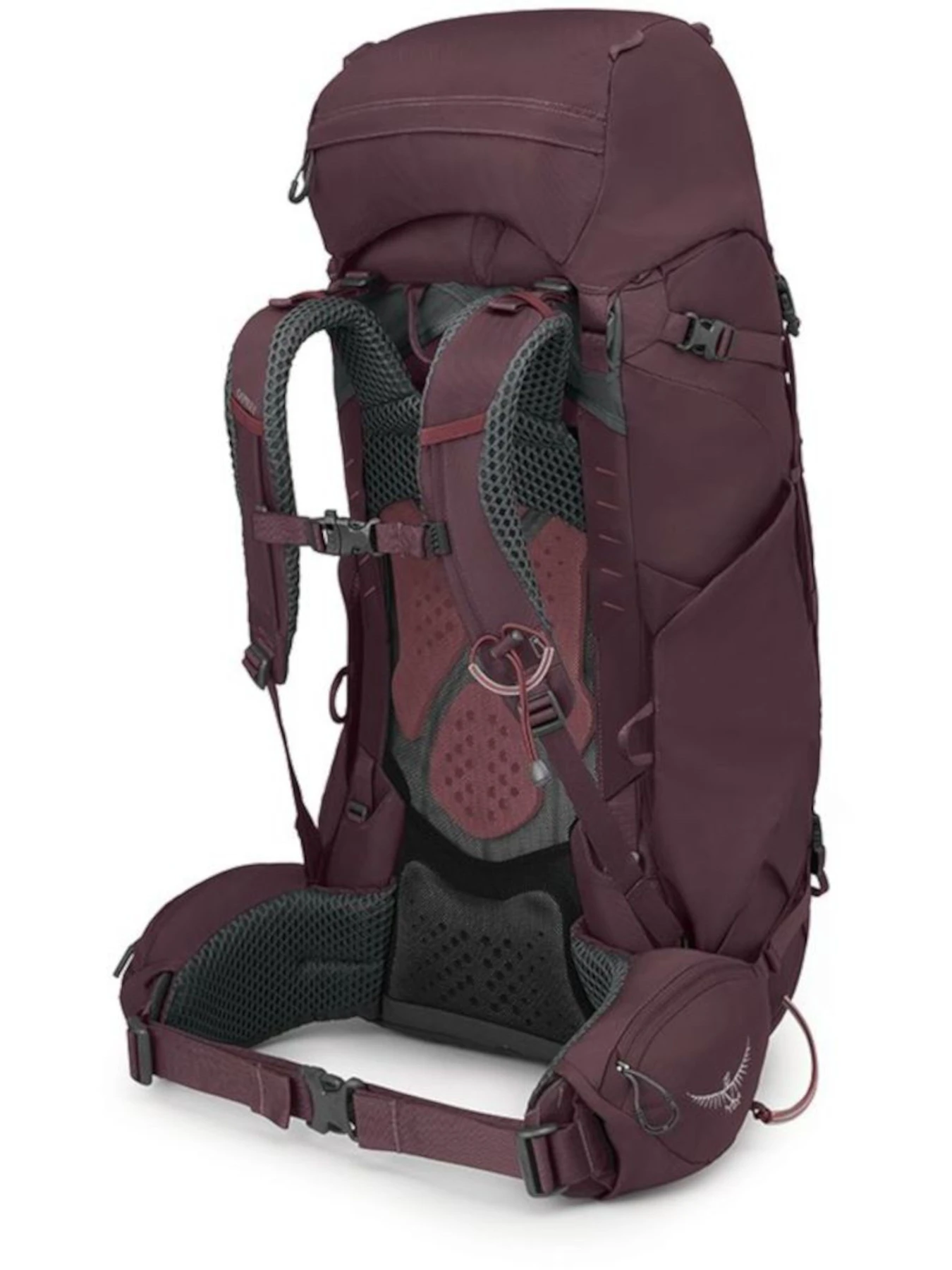 Рюкзаки Osprey Kyte 58 модель 100070725 Рюкзаки Osprey Kyte 58 модель 100070725 Фото
