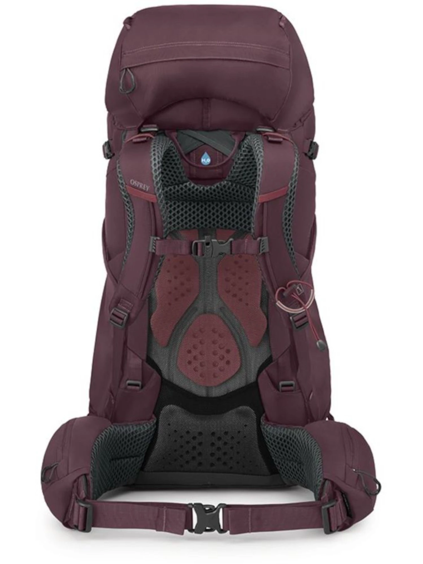 Рюкзаки Osprey Kyte 58 модель 100070725 Рюкзаки Osprey Kyte 58 модель 100070725 Фото