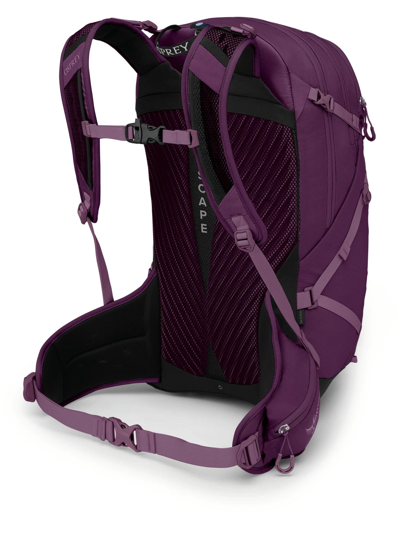 Рюкзаки Osprey Sportlite 25 модель 100066054 Фото