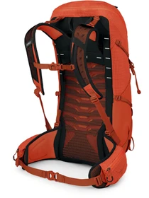 Рюкзаки Osprey Talon Pro 30 модель 100074054 Фото