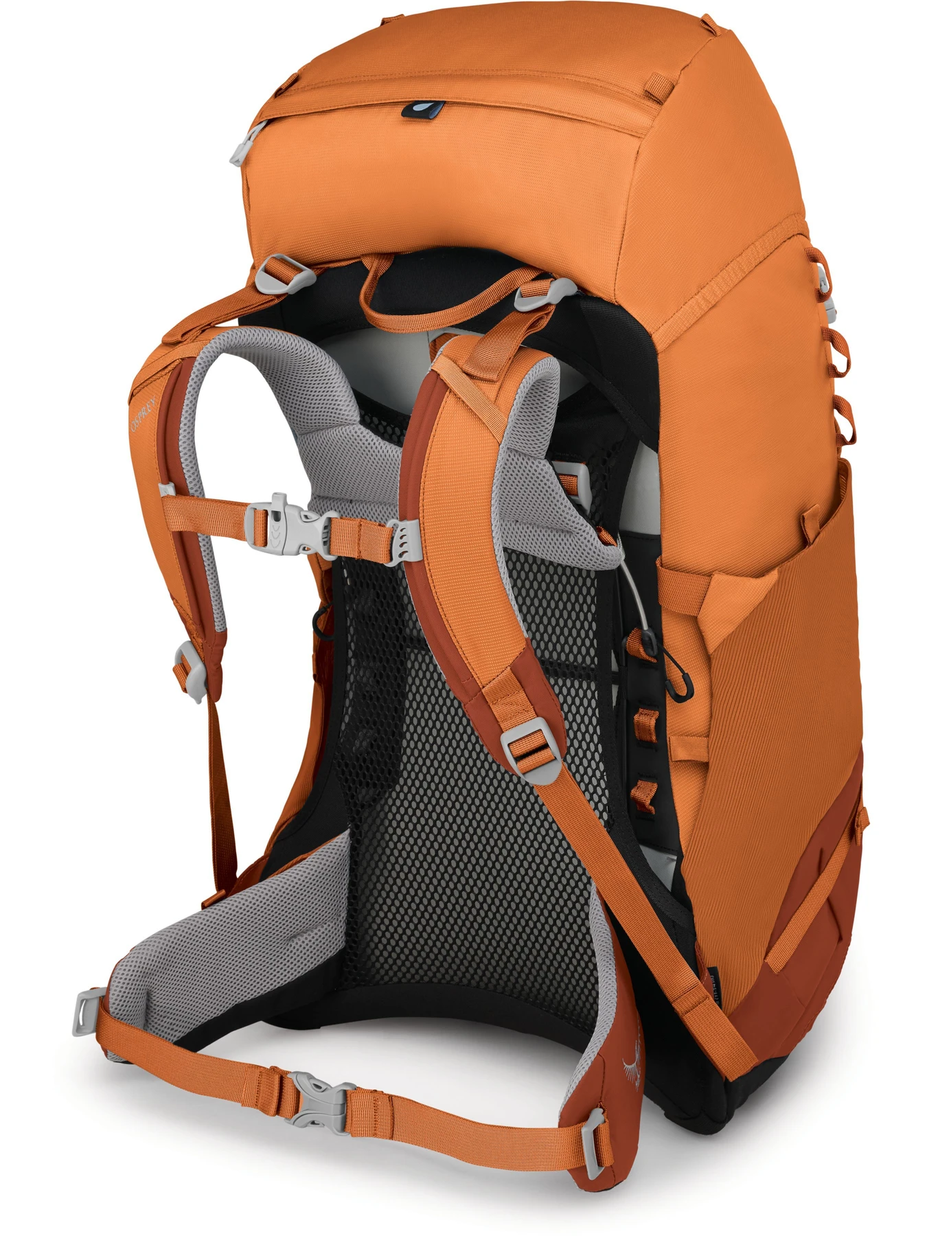 Рюкзаки Osprey Ace 38 модель 100071822 Рюкзаки Osprey Ace 38 модель 100071822 Фото