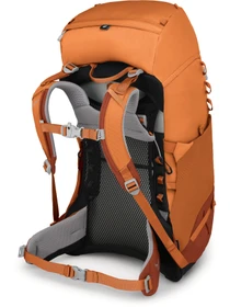 Рюкзаки Osprey Ace 38 модель 100071822 Фото