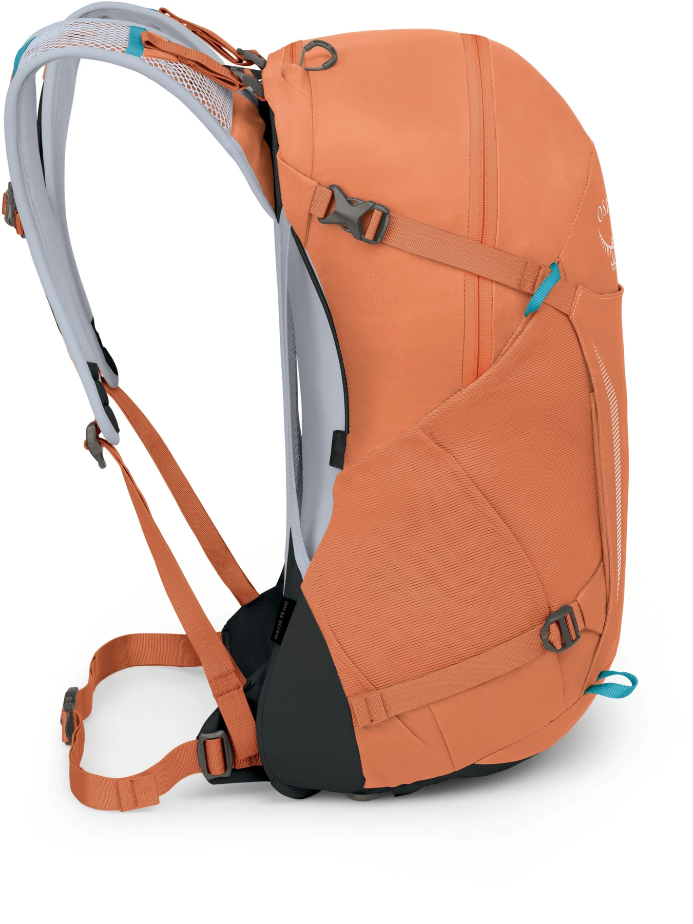 Рюкзаки Osprey Hikelite 26 модель 100074012 Фото