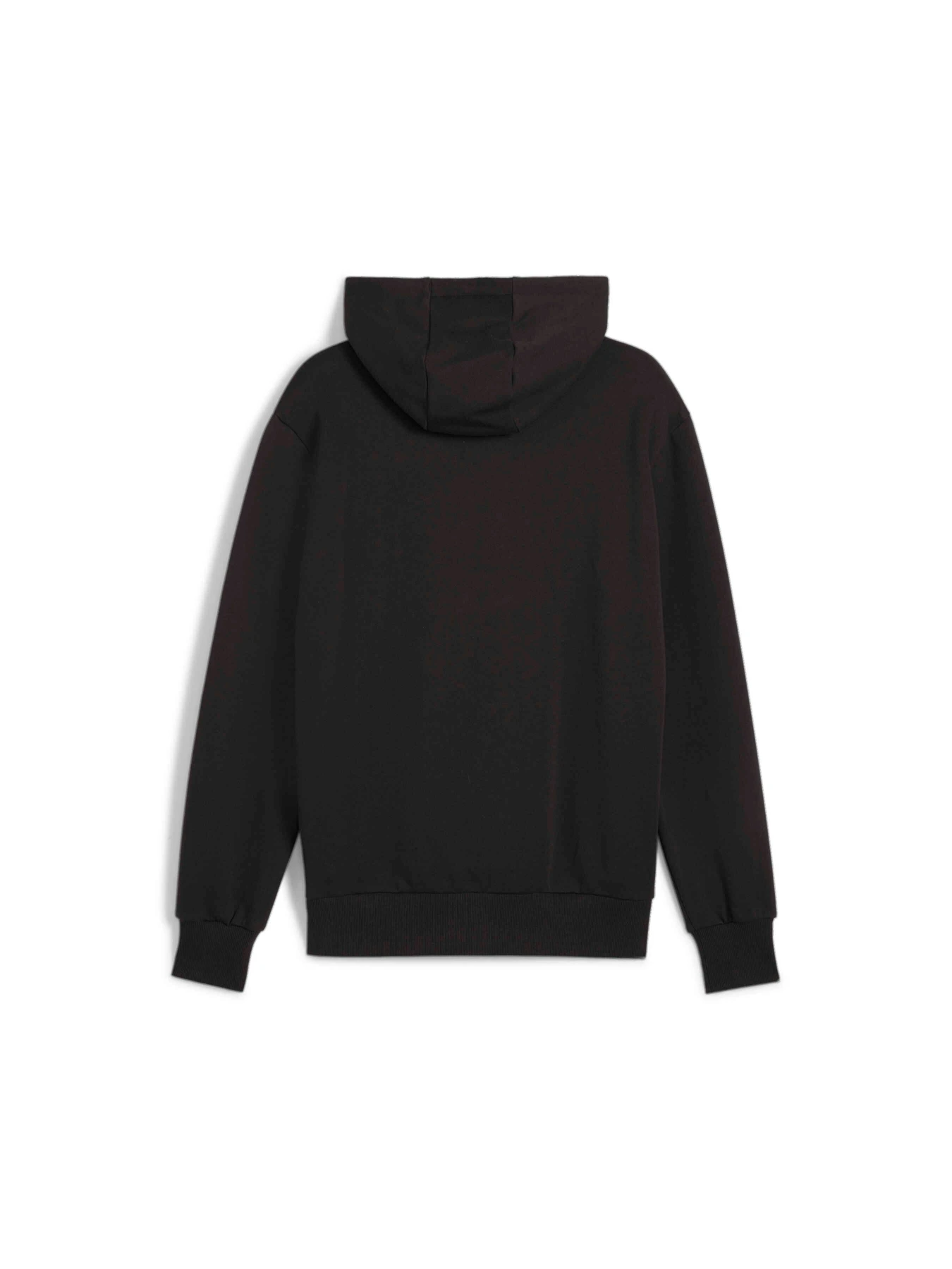 Худи и свитшоты PUMA Posterize 2.0 Hoodie модель 625248 Худи и свитшоты PUMA Posterize 2.0 Hoodie модель 625248 Фото