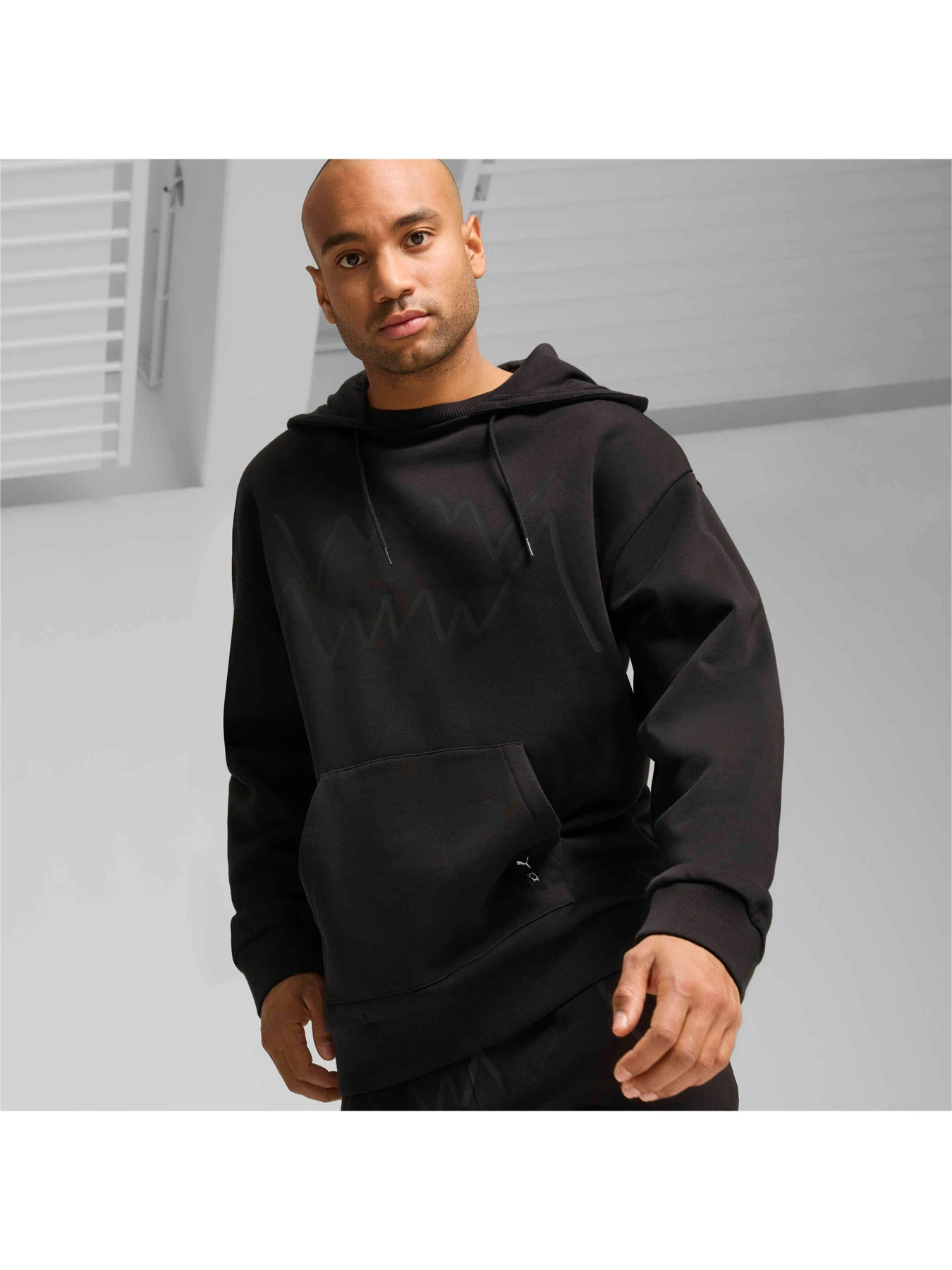 Худі та світшоти PUMA Jaws Core Hoodie 2.0 модель 627220 Фото