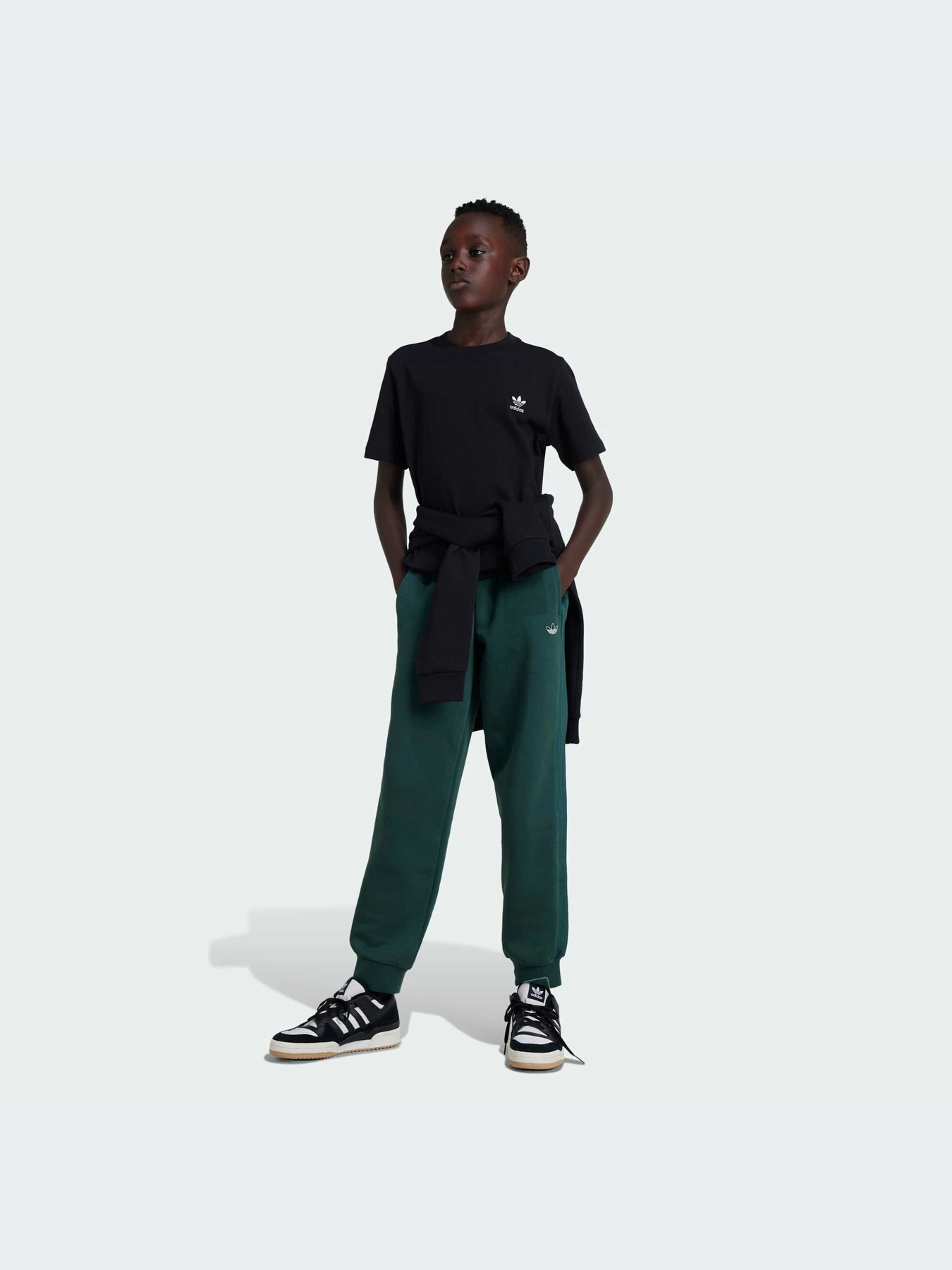 Футболки і поло Adidas модель IW3495 Футболки і поло Adidas модель IW3495 Фото
