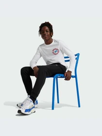Брюки Adidas модель IW3498 Фото