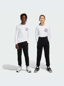 Брюки Adidas модель IW3498 Фото