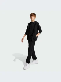 Худи и свитшоты Adidas модель IX9448 Фото