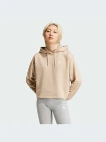 Худи и свитшоты Adidas Adicolor модель IY4698 Фото
