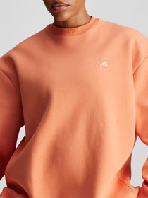 Худи и свитшоты Adidas модель IW9853 Фото