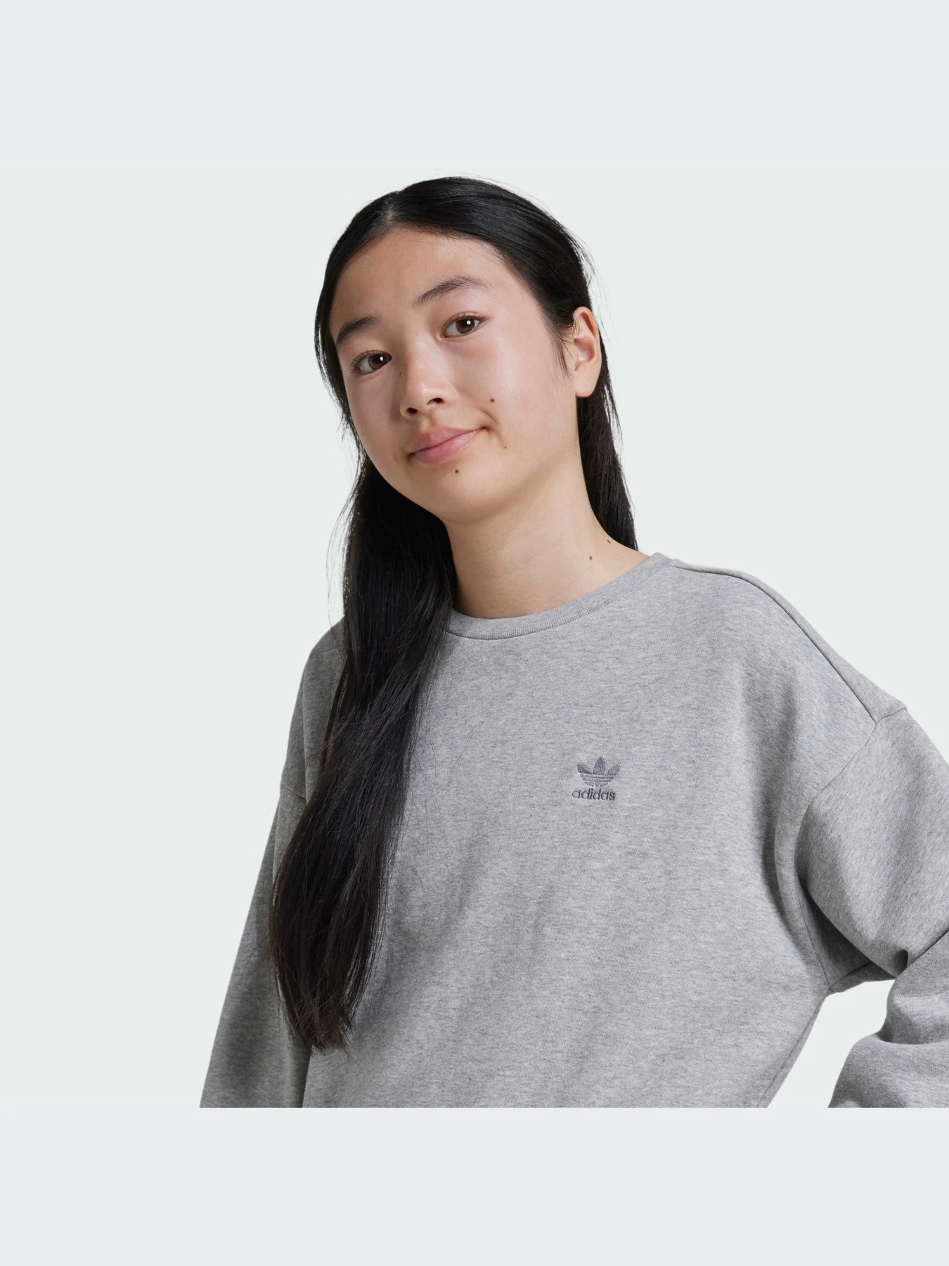 Худи и свитшоты Adidas модель IZ4813 Худи и свитшоты Adidas модель IZ4813 Фото
