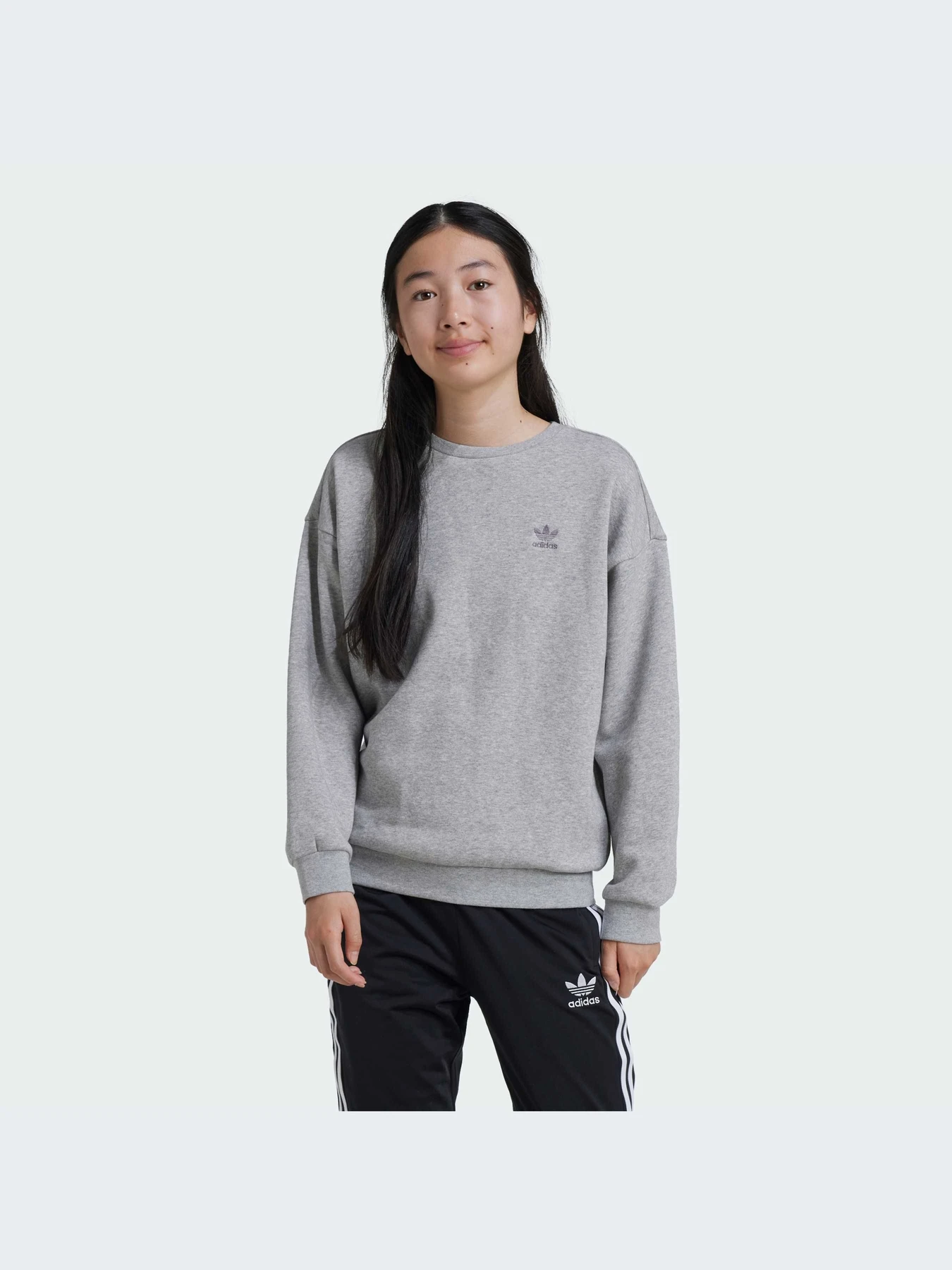 Худи и свитшоты Adidas модель IZ4813 Худи и свитшоты Adidas модель IZ4813 Фото