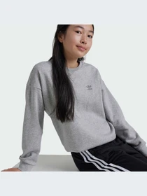 Худи и свитшоты Adidas модель IZ4813 Фото