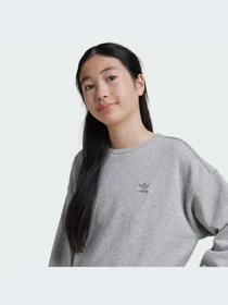 Худи и свитшоты Adidas модель IZ4813 Фото