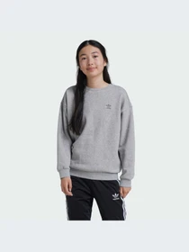 Худи и свитшоты Adidas модель IZ4813 Фото