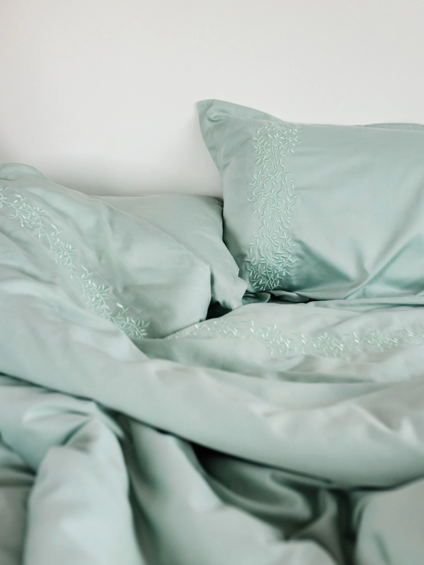 Комплект постільної білизни м'ятний з вишитими гілками Cozy модель 8048823 Фото
