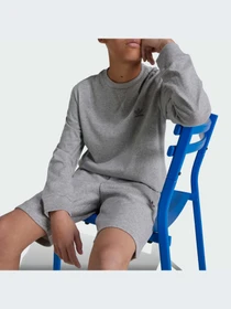 Шорты Adidas модель IX5237 Фото