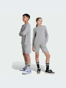 Шорты Adidas модель IX5237 Фото