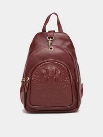 Рюкзаки Keizer модель K1315b-bordo Фото