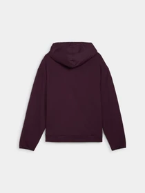 Худи и свитшоты PUMA Mapf1 Statement Hoodie модель 627303 Фото