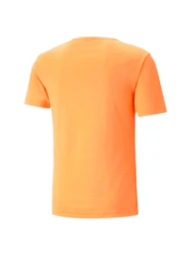 Футболки і поло PUMA Individualrise Graphic Tee модель 658131 Фото