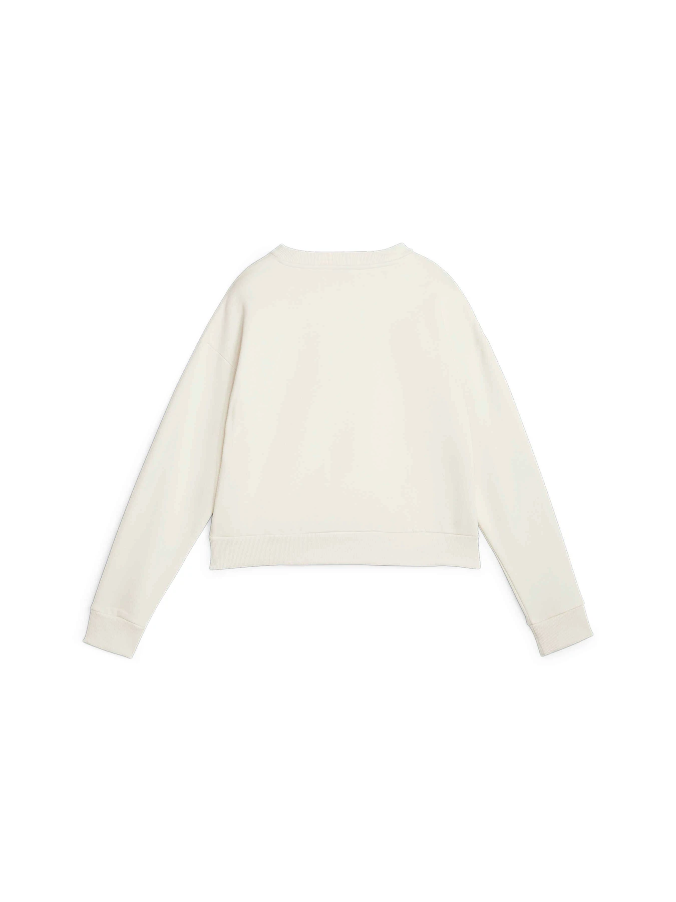 Худи и свитшоты PUMA Ess+ Relaxed Crew Fl модель 676801 Худи и свитшоты PUMA Ess+ Relaxed Crew Fl модель 676801 Фото