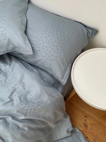 Комплект постільної білизни сіро-блакитний з вишитими зірками Cozy модель 8048996 Фото