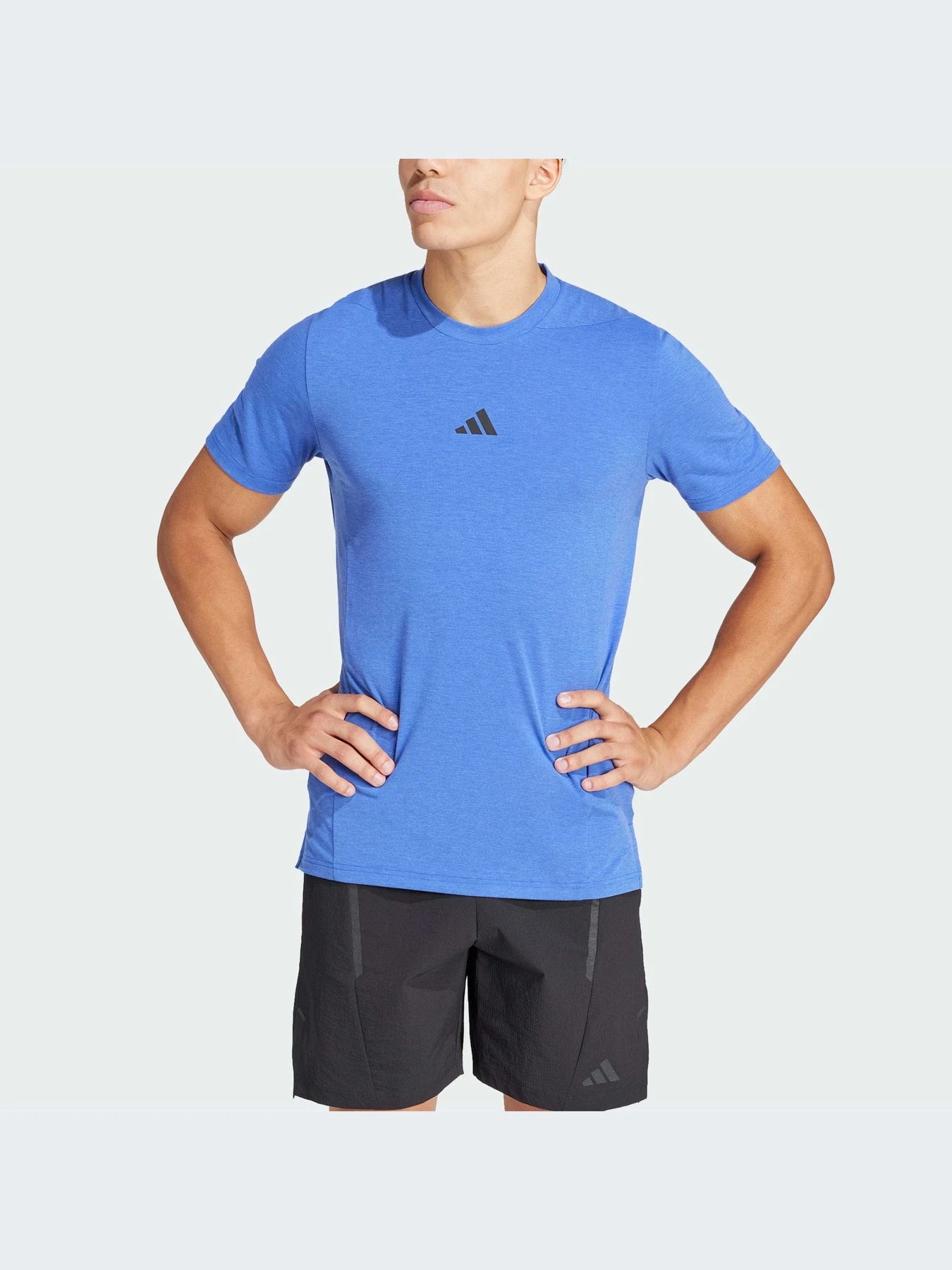Футболки и поло Adidas Clima модель IS3816 Футболки и поло Adidas Clima модель IS3816 Фото