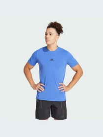 Футболки и поло Adidas Clima модель IS3816 Фото