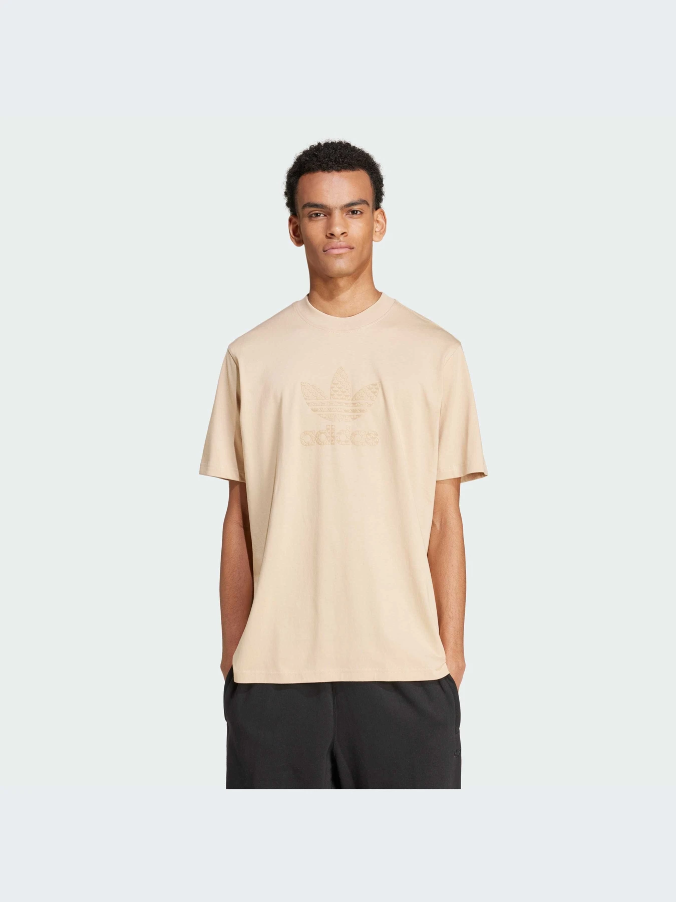 Футболки и поло Adidas Graphics модель IX6747 Футболки и поло Adidas Graphics модель IX6747 Фото