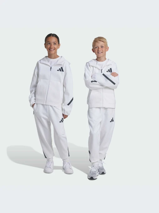 Брюки Adidas ZNE модель JJ4148 Фото