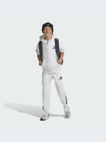 Брюки Adidas ZNE модель JJ4148 Фото