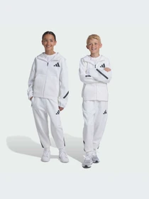 Брюки Adidas ZNE модель JJ4148 Фото