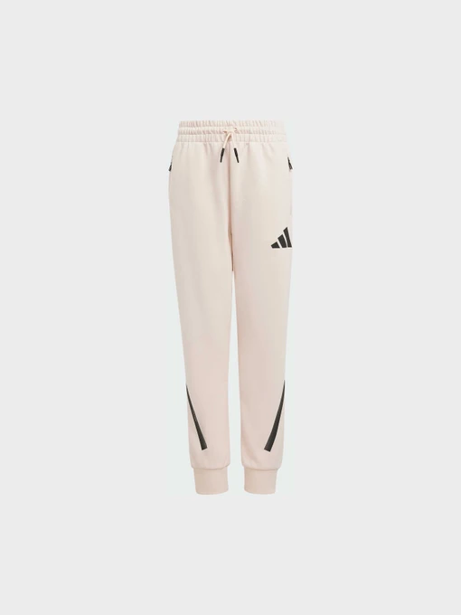 Брюки Adidas ZNE модель JF2820 Фото