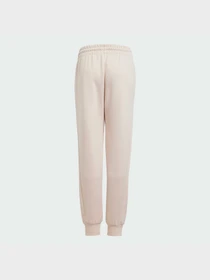 Штани Adidas ZNE модель JF2820 Фото