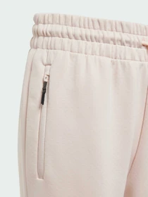 Штани Adidas ZNE модель JF2820 Фото