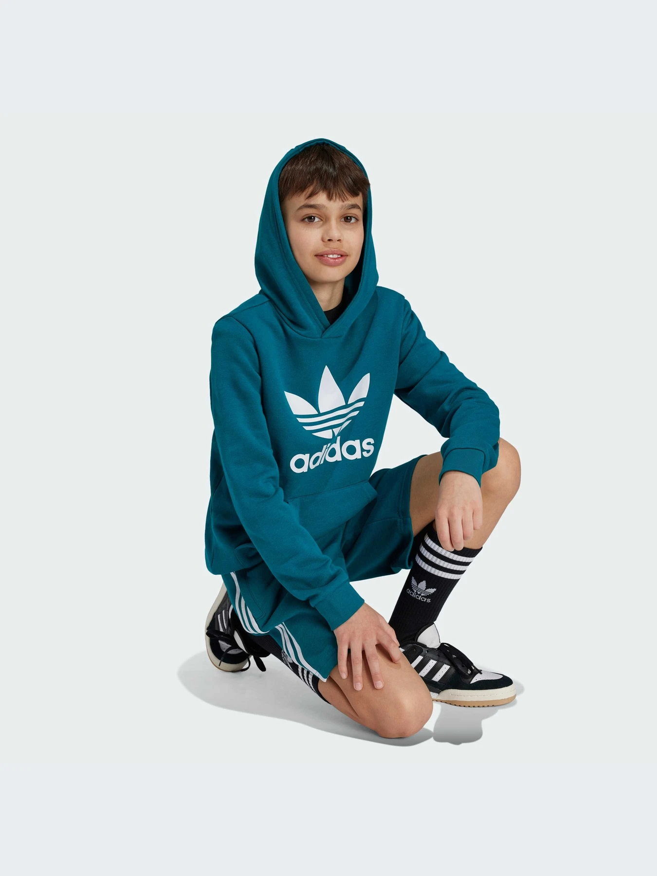 Худі та світшоти Adidas Adicolor модель IY7440 Худі та світшоти Adidas Adicolor модель IY7440 Фото