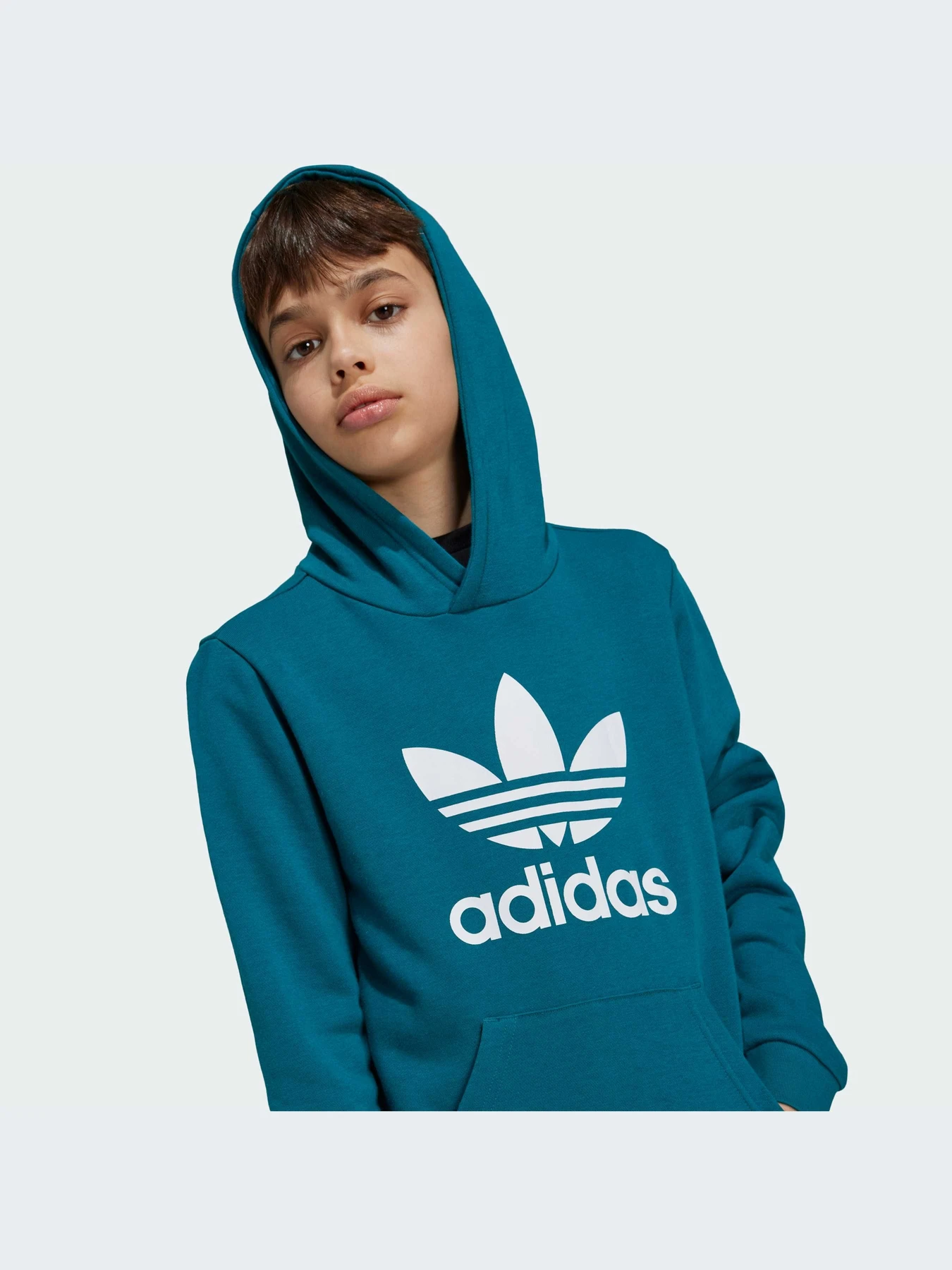 Худі та світшоти Adidas Adicolor модель IY7440 Худі та світшоти Adidas Adicolor модель IY7440 Фото