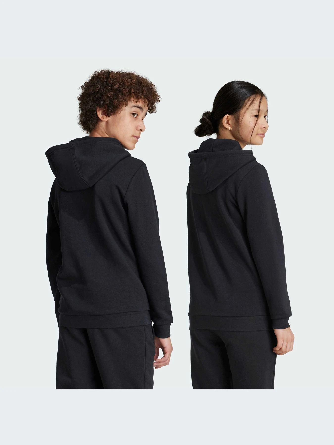 Худі та світшоти Adidas Adicolor модель IY7446 Худі та світшоти Adidas Adicolor модель IY7446 Фото