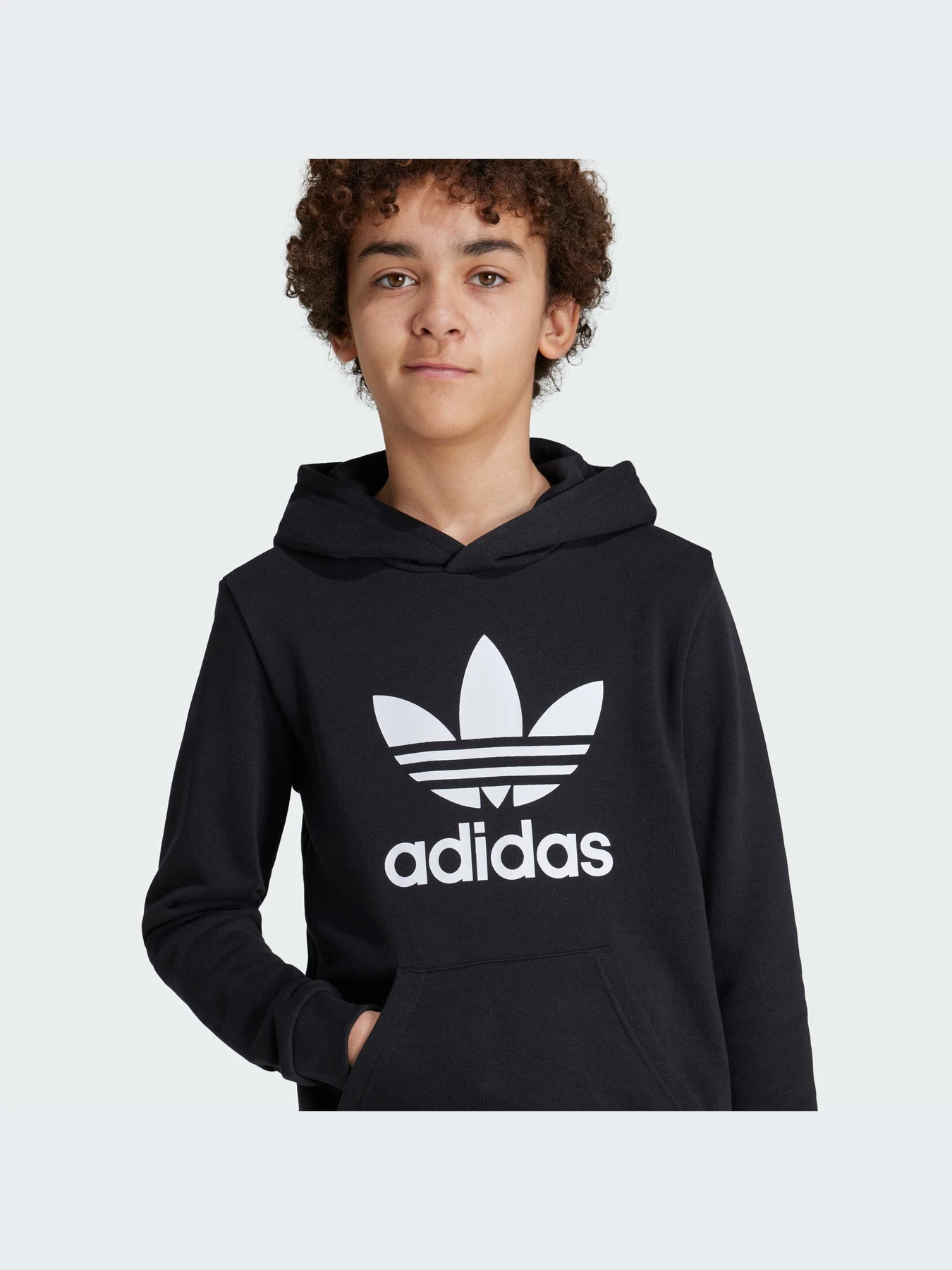 Худі та світшоти Adidas Adicolor модель IY7446 Худі та світшоти Adidas Adicolor модель IY7446 Фото