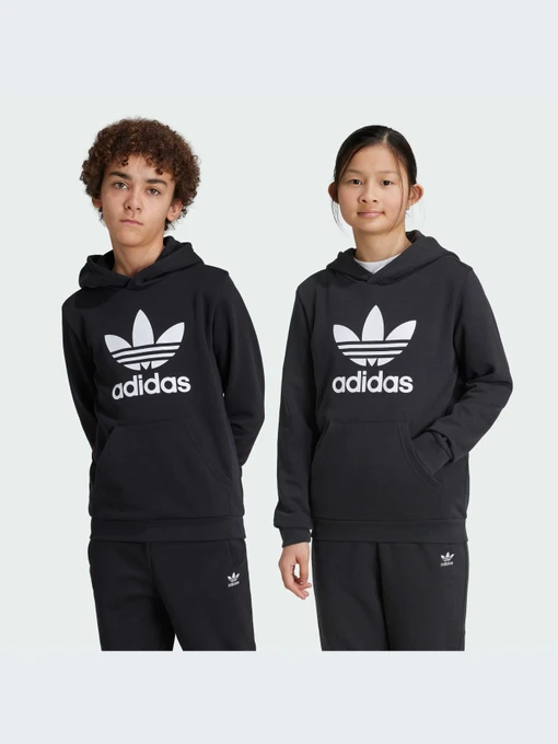 Худи и свитшоты Adidas Adicolor модель IY7446 Фото