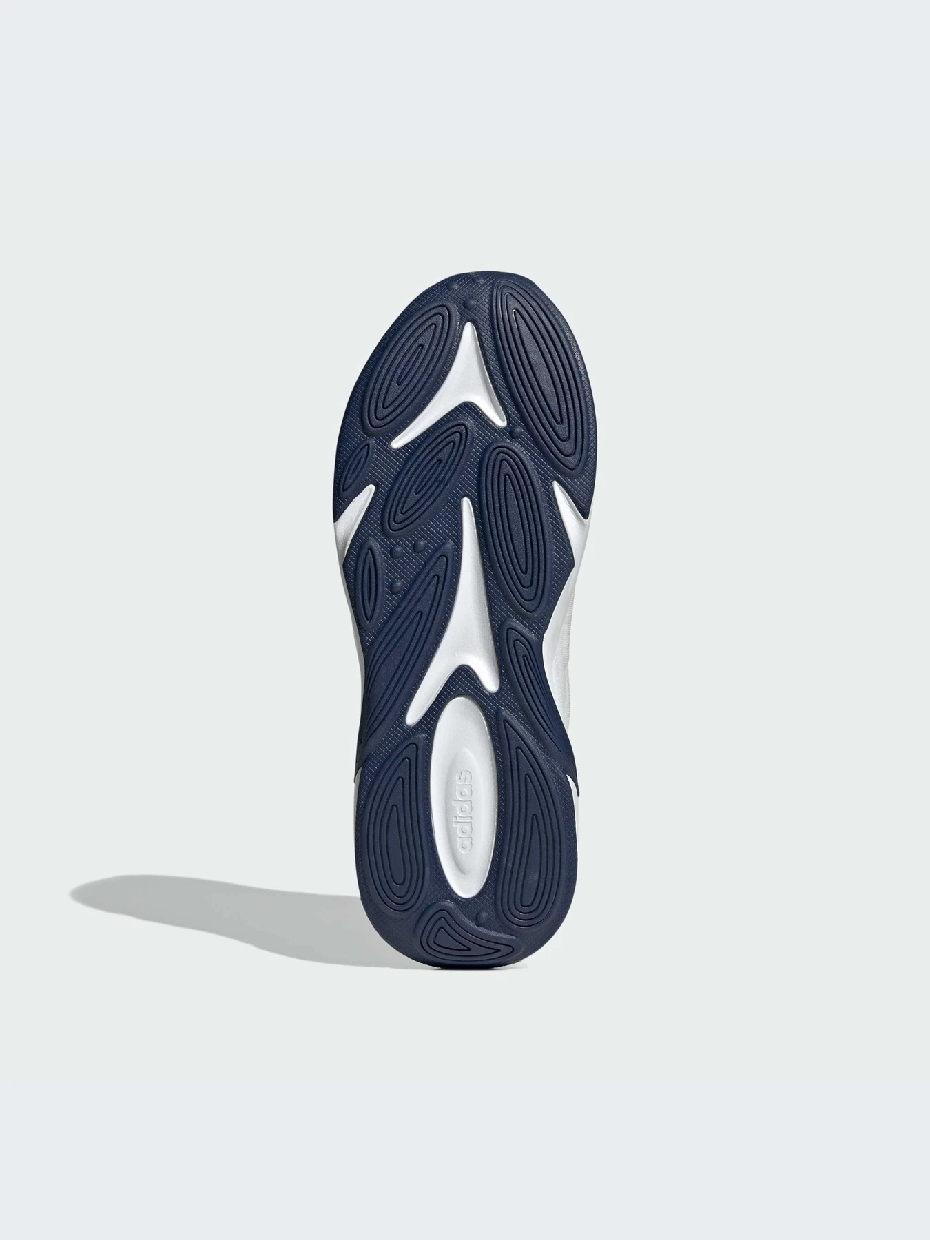 Кроссовки Adidas Ozweego модель IG6769 Кроссовки Adidas Ozweego модель IG6769 Фото
