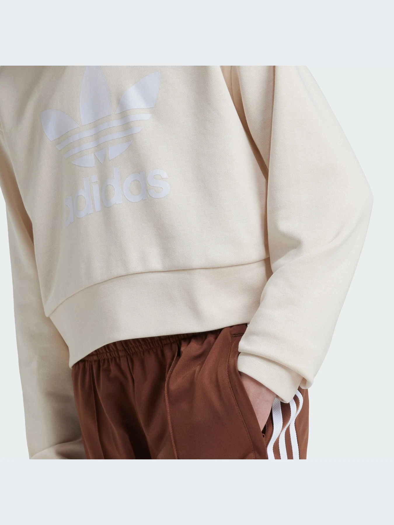 Худі та світшоти Adidas Adicolor модель IY7468 Худі та світшоти Adidas Adicolor модель IY7468 Фото