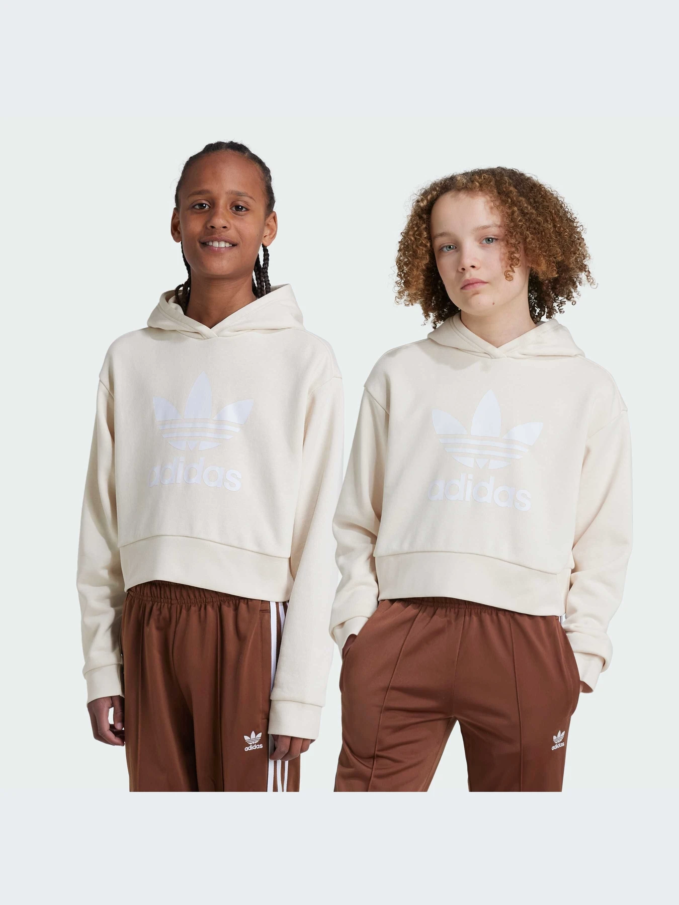 Худі та світшоти Adidas Adicolor модель IY7468 Худі та світшоти Adidas Adicolor модель IY7468 Фото