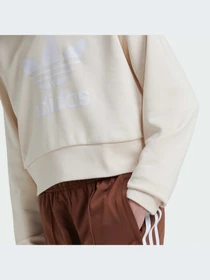 Худі та світшоти Adidas Adicolor модель IY7468 Фото