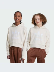 Худи и свитшоты Adidas Adicolor модель IY7468 Фото
